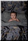 calvin-20071122-silver-sheets-052.jpg