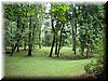 house-11539-gelding-09.jpg